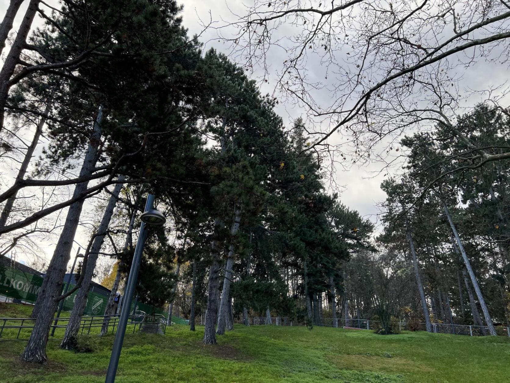 Loge Sollinger1190 Daire Viyana Dış mekan fotoğraf